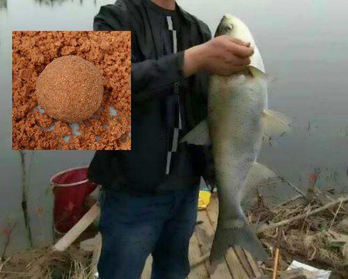 海竿野钓鲤鱼的技巧是什么？如何提高钓鲤鱼的成功率？  第1张