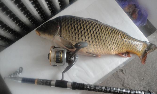 海竿野钓起鱼技巧教学？如何提高野钓成功率？  第2张