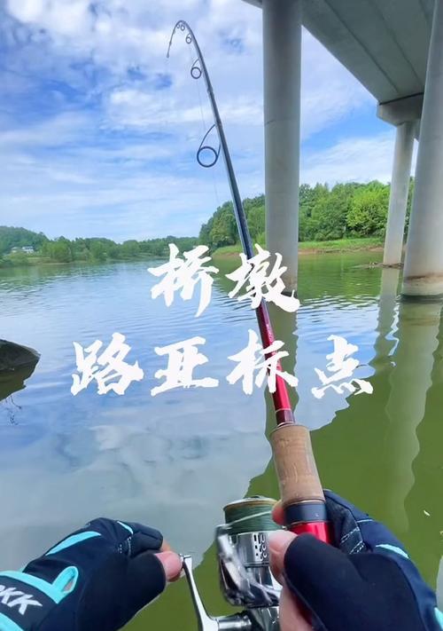 海竿野钓翘嘴技巧有哪些？如何提高钓翘嘴的成功率？  第2张