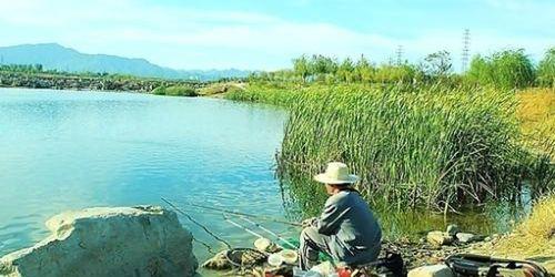 海竿野钓青竹鱼技巧和方法是什么？如何提高钓获率？  第3张