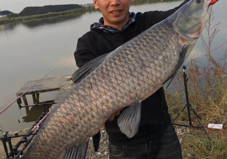 海竿野钓实战技巧有哪些？如何提高钓鱼成功率？  第3张