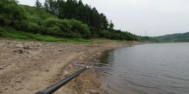 海竿野钓水库鱼技巧有哪些？如何提高钓水库鱼的成功率？  第3张