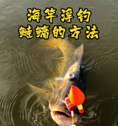 海竿夜钓鲢鳙时什么钩子更胜一筹？  第3张