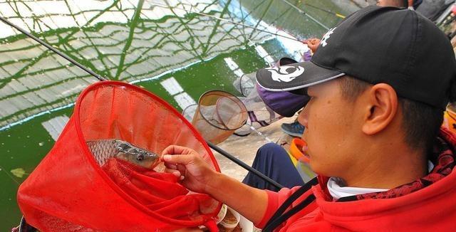 海竿钓浮技巧教学有哪些？如何提高海竿钓浮的成功率？  第2张