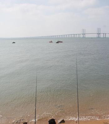 海竿钓浮技巧教学有哪些？如何提高海竿钓浮的成功率？  第1张