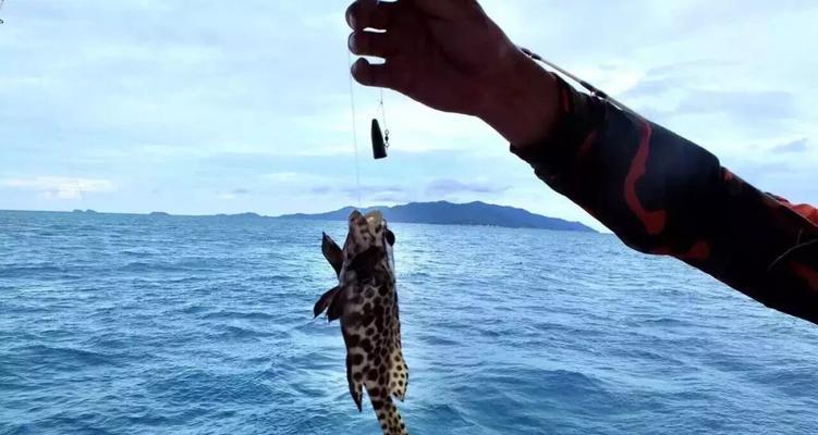 海竿涨潮退潮钓鱼技巧是什么？如何根据潮汐变化选择最佳钓鱼时机？  第2张