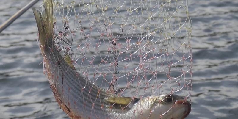 海沟钓鱼技巧教程？如何提高海沟钓鱼的成功率？  第2张