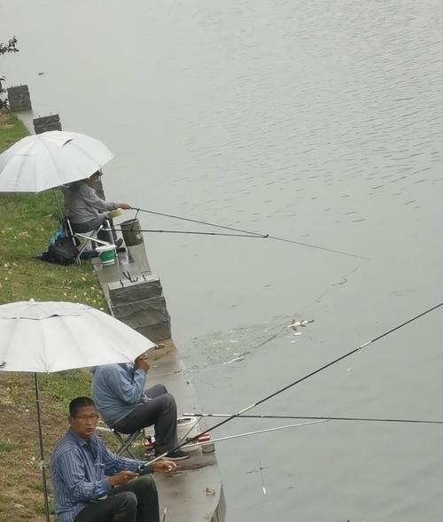海河钓鱼技巧教学有哪些常见问题？如何解决？  第1张