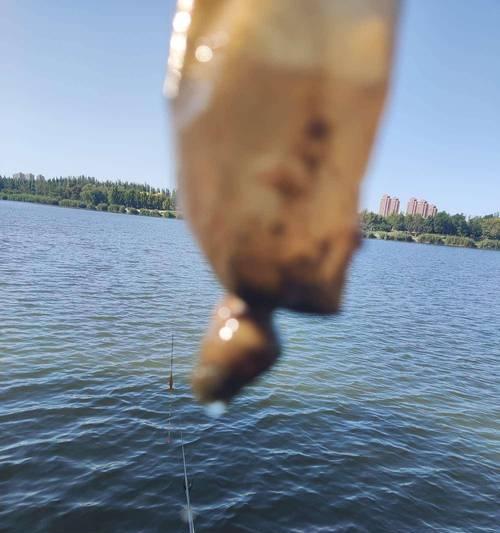 海河钓鱼有什么技巧？如何提高钓鱼成功率？  第1张