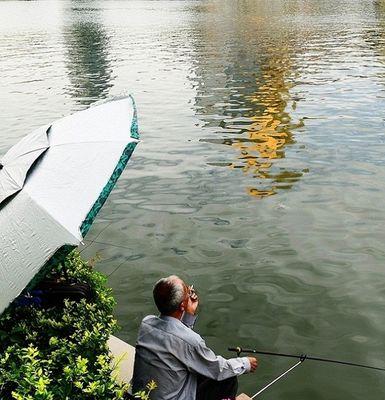 海河钓鱼有什么技巧？如何提高钓鱼成功率？  第2张