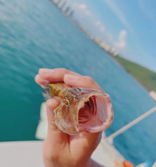 海礁沉底钓鱼技巧是什么？如何提高钓鱼成功率？  第3张