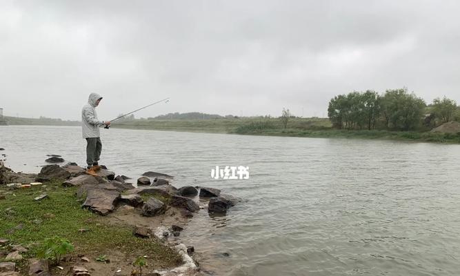 海里沉底钓鱼技巧有哪些？如何提高钓获率？  第2张