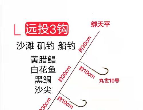 海里串钩钓鱼技巧教程？如何提高钓鱼成功率？  第3张