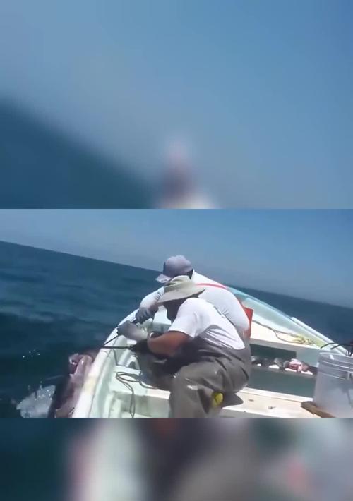 海里钓鱼方法与技巧有哪些？如何提高海钓的成功率？  第2张
