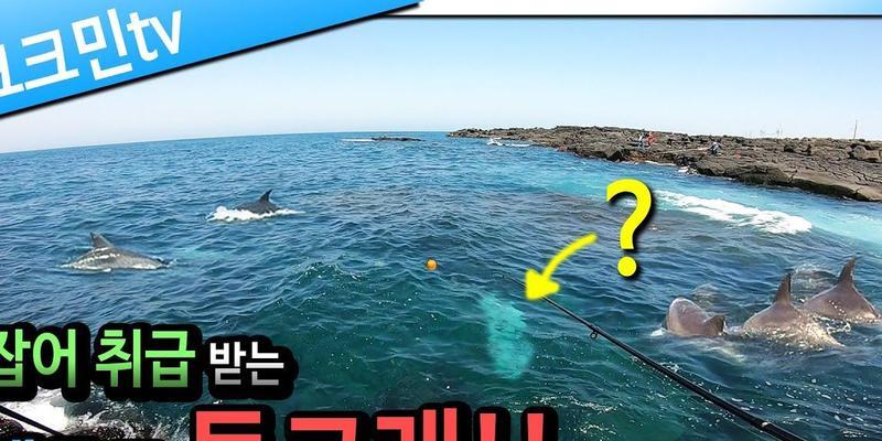 海里钓鱼技巧和方法有哪些？如何提高海钓成功率？  第1张