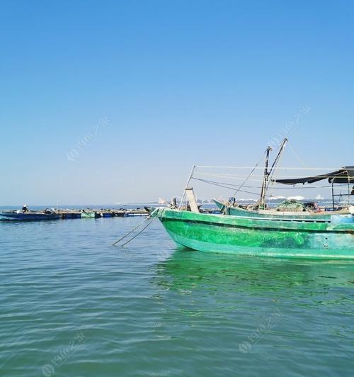 海里鱼排钓鱼技巧有哪些？如何提高钓鱼成功率？  第2张