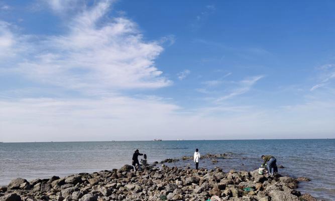海码头钓鱼技巧有哪些？如何提高钓鱼成功率？  第3张