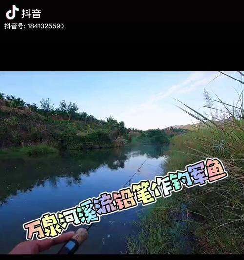 海南春天钓鱼有哪些技巧？如何提高钓鱼成功率？  第3张