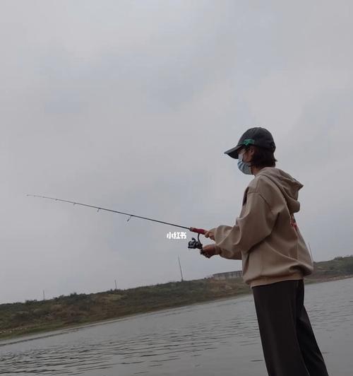 海南冬季钓鱼技巧有哪些？如何应对低温天气？  第2张