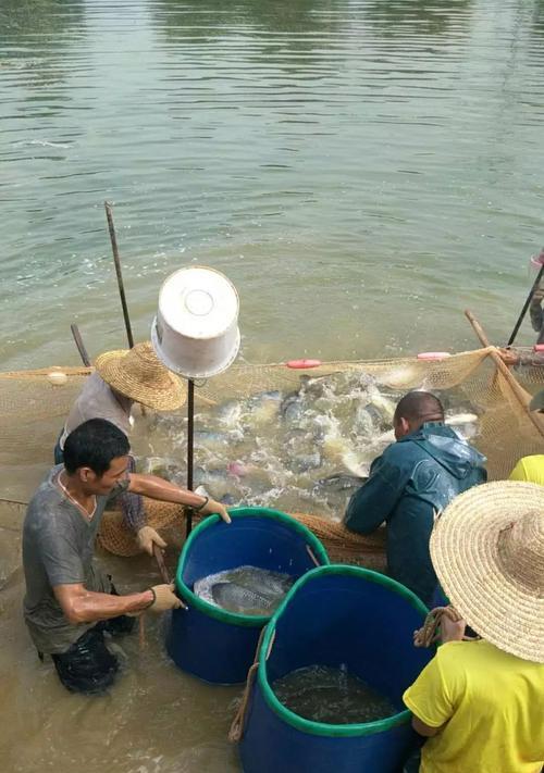 海南海边钓鱼方法与技巧有哪些？如何提高钓鱼成功率？  第1张