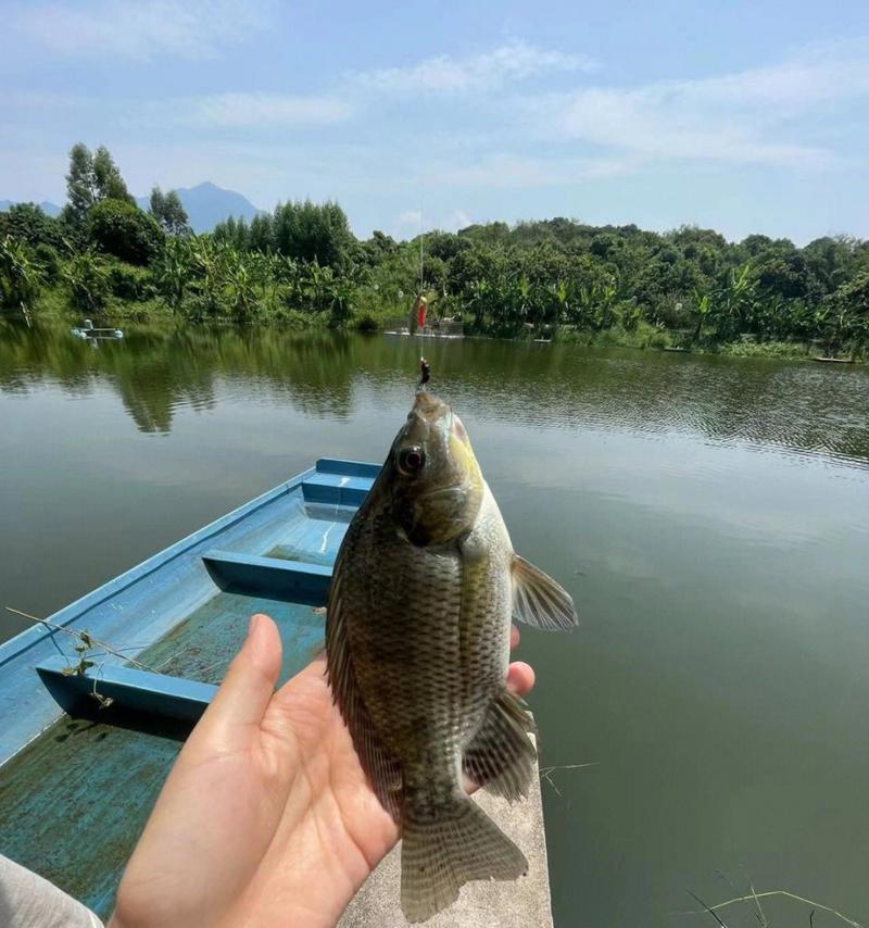 海南冷天户外钓鱼技巧有哪些？如何应对低温天气的钓鱼挑战？  第1张
