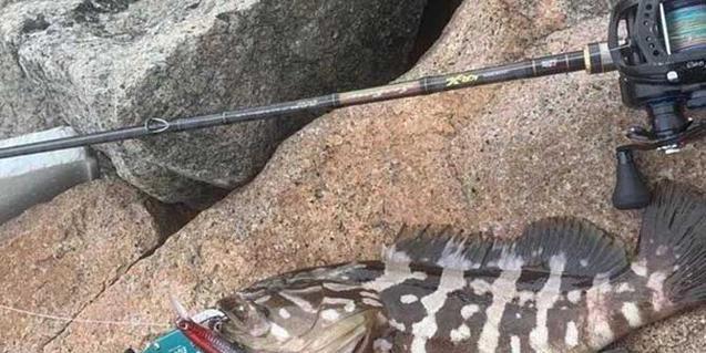 海南野钓技巧教学有哪些常见问题？如何解决？  第3张