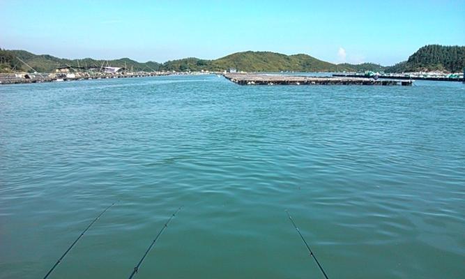 海南野钓金鲳鱼技巧有哪些？如何提高钓获率？  第1张