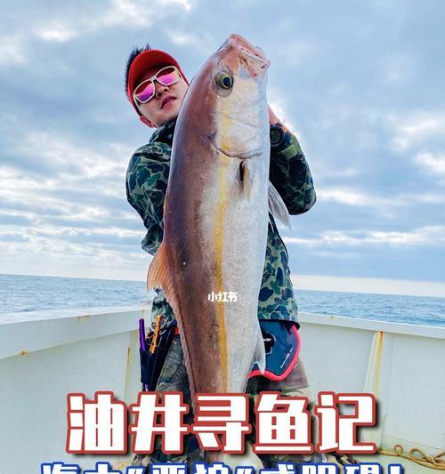 海南油井钓鱼技巧有哪些？如何提高钓鱼成功率？  第2张