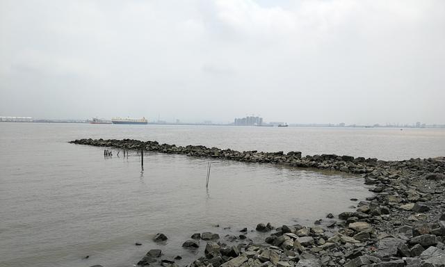 海鸥岛海水淡水交接钓鱼技巧是什么？如何提高钓鱼成功率？  第2张