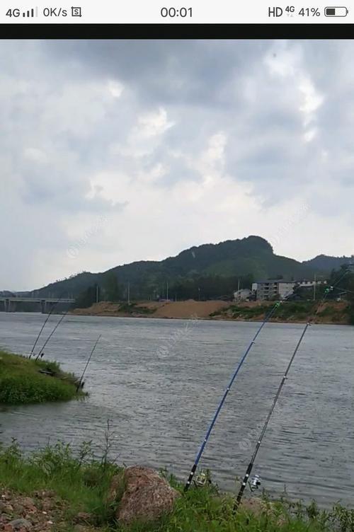 海桥上钓鱼的技巧是什么？如何提高海桥钓鱼的成功率？  第3张