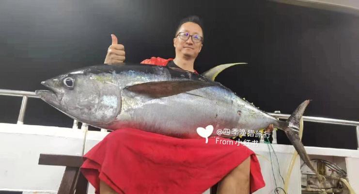 海上钓鱼钓金枪鱼技巧是什么？如何提高钓金枪鱼的成功率？  第2张