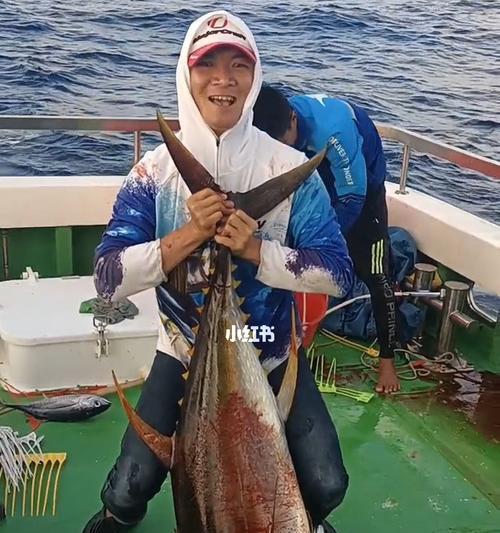 海上钓鱼钓金枪鱼技巧是什么？如何提高钓金枪鱼的成功率？  第3张