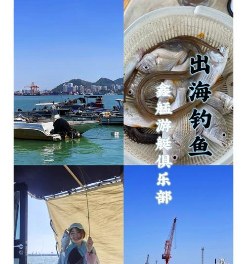 海上钓鱼技巧有哪些？如何提高钓鱼成功率？  第1张