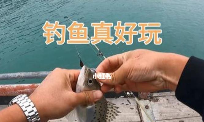 海上钓鱼技巧与方法有哪些？如何提高钓鱼成功率？  第3张