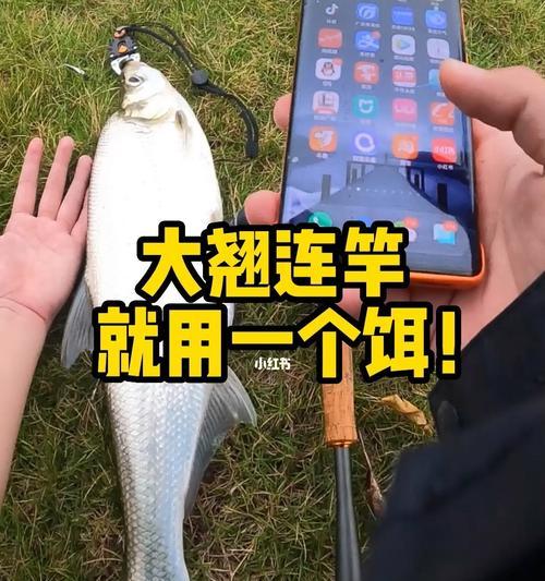 海上排水口钓鱼技巧和方法是什么？如何提高钓鱼成功率？  第3张