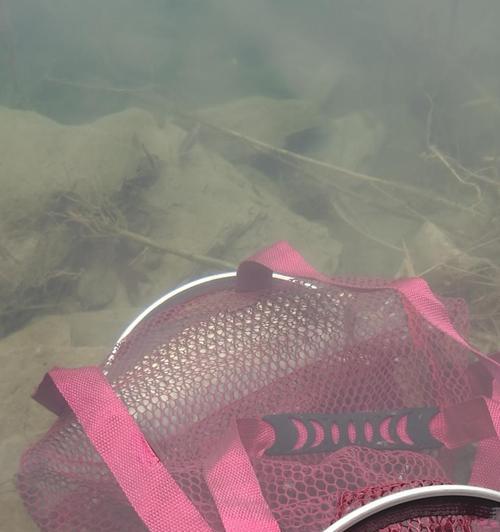 海上手把线钓鱼技巧有哪些？如何提高钓鱼成功率？  第3张