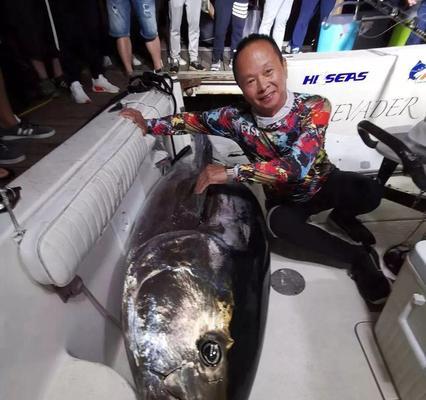海上拖钓金枪鱼钓鱼技巧有哪些？如何提高钓获率？  第1张
