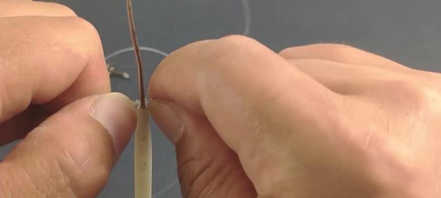 海水串钩钓鱼技巧有哪些？如何提高钓鱼成功率？  第2张