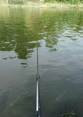 海水钓场手竿钓鱼技巧有哪些？如何提高钓鱼成功率？  第2张