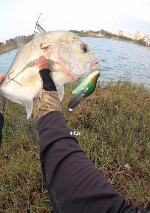 海水交界处钓鱼技巧有哪些？如何提高钓鱼成功率？  第1张