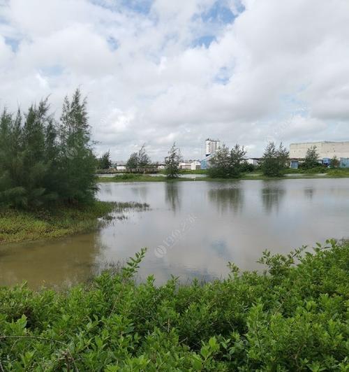 海水闸口钓鱼技巧和方法有哪些？如何提高钓鱼成功率？  第1张