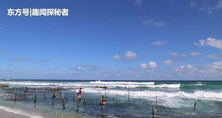 海滩钓鱼技巧教学？如何提高钓鱼成功率？  第3张