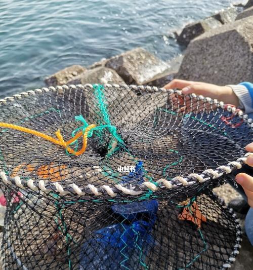 海滩钓鱼技巧教程？如何提高钓鱼成功率？  第1张