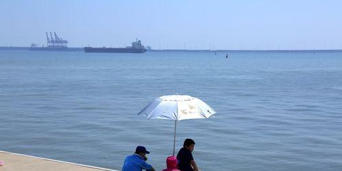 海滩钓鱼技巧教程？如何提高钓鱼成功率？  第2张