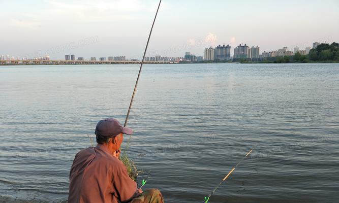 如何在海滩上进行钓鱼？掌握哪些技巧能提高成功率？  第1张