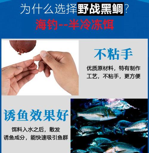 海鱼沉底钓的技巧是什么？如何提高钓获率？  第1张
