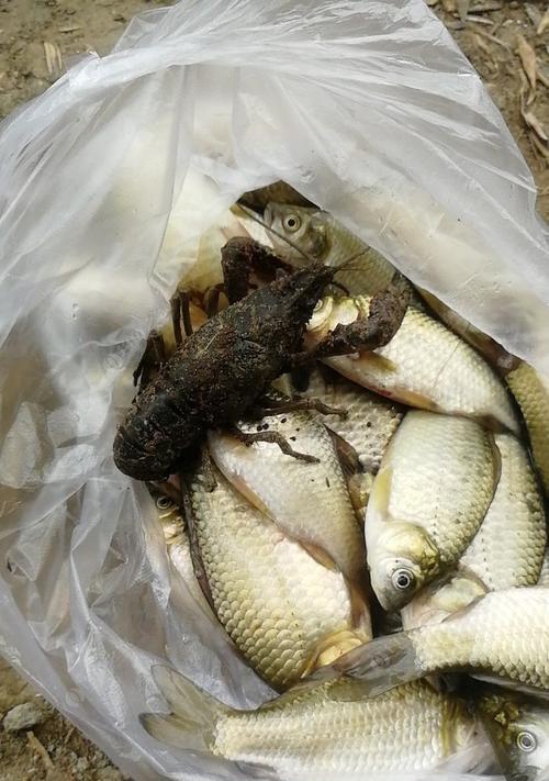 海鱼夜钓最佳时间是什么时候？有哪些夜钓技巧？  第3张