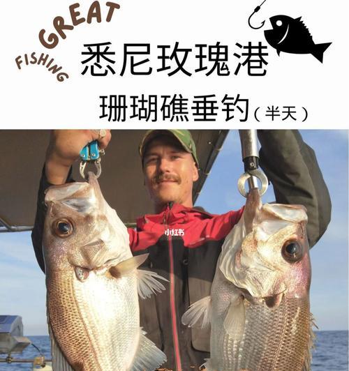 海员休息时钓鱼技巧有哪些？如何提高钓鱼成功率？  第1张