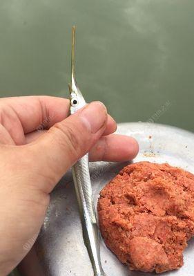 海闸口钓鱼技巧有哪些？如何提高钓鱼成功率？  第3张