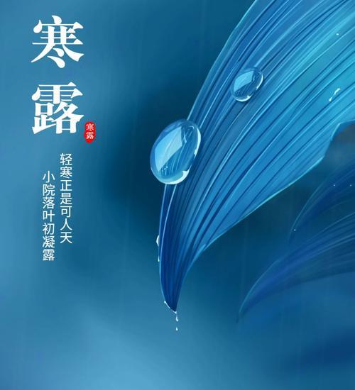 寒露到霜期间钓鱼技巧有哪些？如何应对季节变化带来的挑战？  第3张